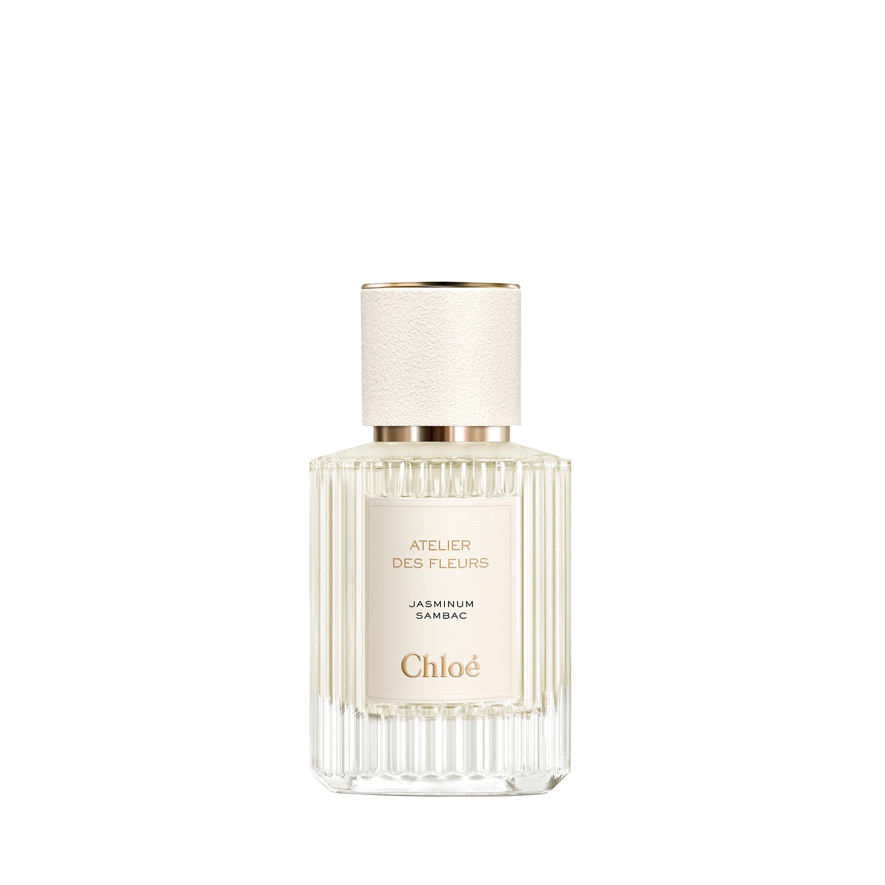 Chloe COLLECTION JASMINE א.ד.פ לאשה