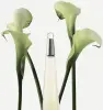Issey Miyake L'EAU D'ISSEY א.ד.ט לאשה