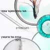 KERASTASE RESISTANCE THERAPISTE שמפו לחידוש סיב השערה