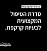 L'OREAL PROFESSIONNEL SCALP שמפו מקצועי המסייע לניקוי עור הקרקפת מקשקשים