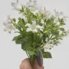 MARC JACOBS PERFECT א.ד.ט לאשה