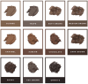 ANASTASIA BEVERLY HILLS צללית קרם לגבות - MEDIUM BROWN