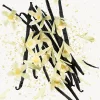 GUCCI FLORA ORCHID א.ד.פ לאשה