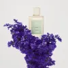 Chloe COLLECTION HYSOPE א.ד.פ לאשה