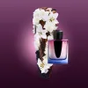 SHISEIDO GINZA NIGHT א.ד.פ לאשה