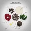 SHISEIDO ULTIMUNE POWER INFUSING סרום עוצמתי 4.0