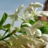 DOLCE & GABBANA Q פרפיום לאשה