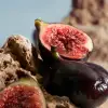 DOLCE & GABBANA K פרפיום לגבר
