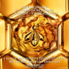 GUERLAIN ABEILLE ROYALE סרום שמן הנעורים המיימי