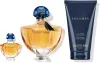 GUERLAIN SHALIMAR סט א.ד.פ + קרם גוף לאשה
