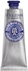 L'OCCITANE SHEA BUTTER קרם ידיים אינטנסיבי