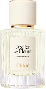 Chloe COLLECTION MIMOSA א.ד.פ לאשה