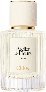 Chloe COLLECTION CHENE א.ד.פ לאשה