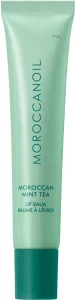 MOROCCANOIL ליפ באלם - תה ומנטה