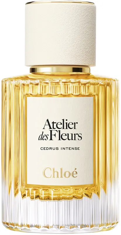 Chloe COLLECTION CEDRUS א.ד.פ לאשה