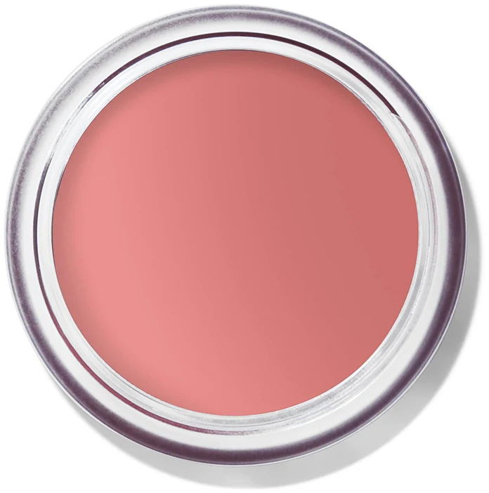BOBBI BROWN POT ROUGE סומק קרמי בגימור מאט ללחיים ולשפתיים - MUTED PEACH