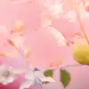CHANEL CHANCE EAU TENDRE או דה טואלט לאשה