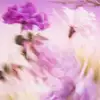 CHANEL CHANCE EAU SPLENDIDE או דה פרפיום לאשה