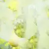 CHANEL CHANCE EAU FRAICHE או דה טואלט לאשה