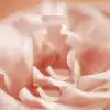 CHANEL COCO MADEMOISELLE PRIVEE בישום לילה לאשה