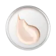 פריימר