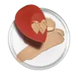 כלי איפור